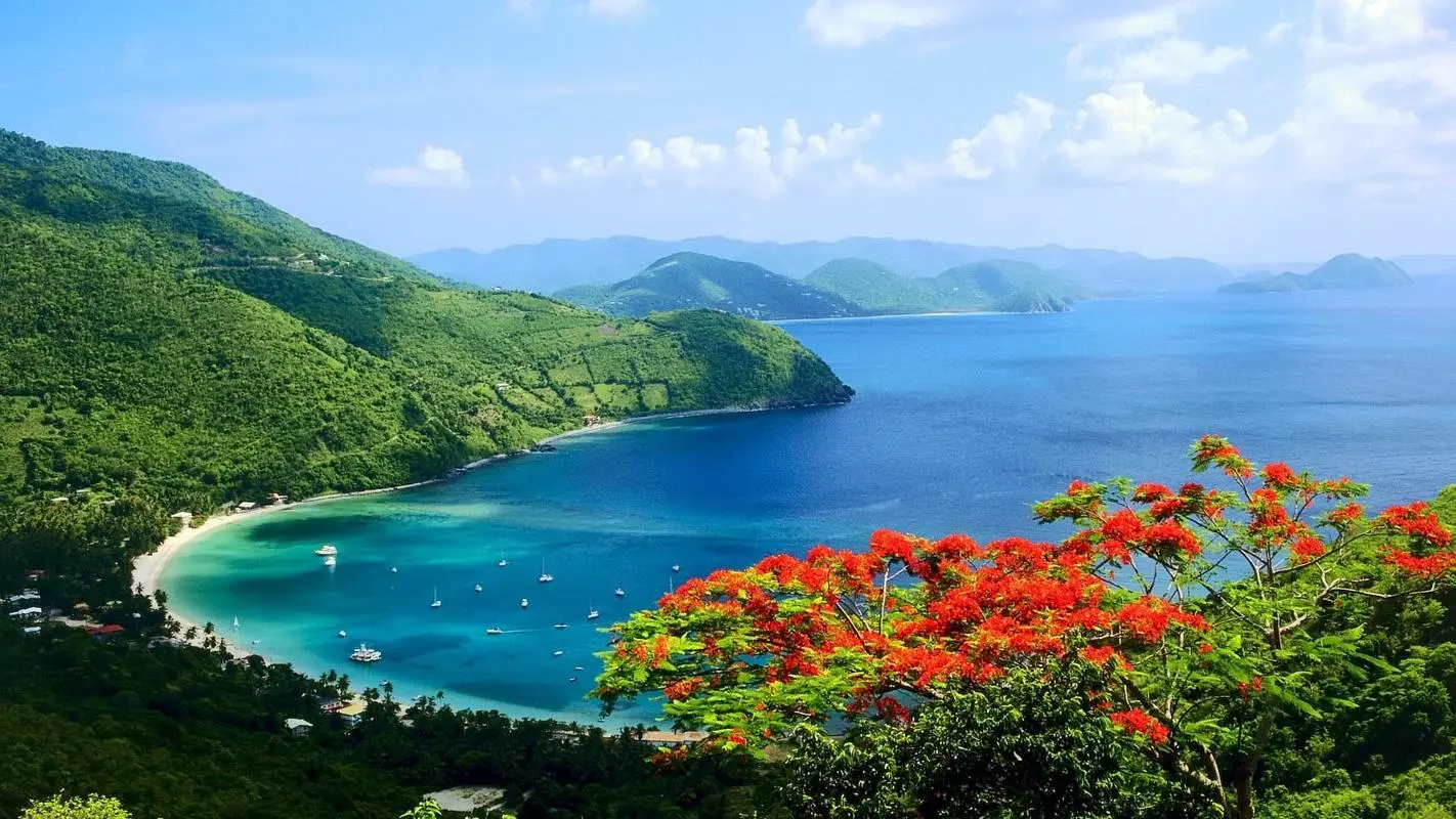 高端自动化精密